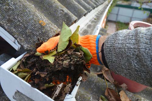 Hand cleaning out gutter of leaves and dirt
