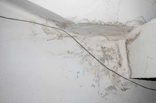 Mold growth from water damage on wall