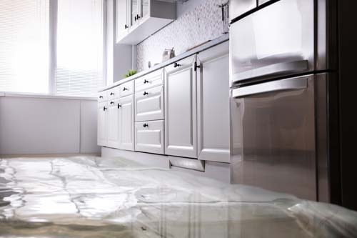 Dishwasher leaking
